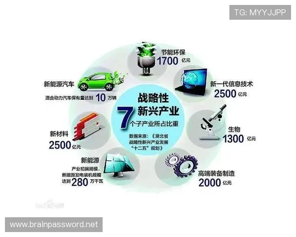 围绕企业家成长路径探讨创新驱动与可持续发展战略思考实践方向研